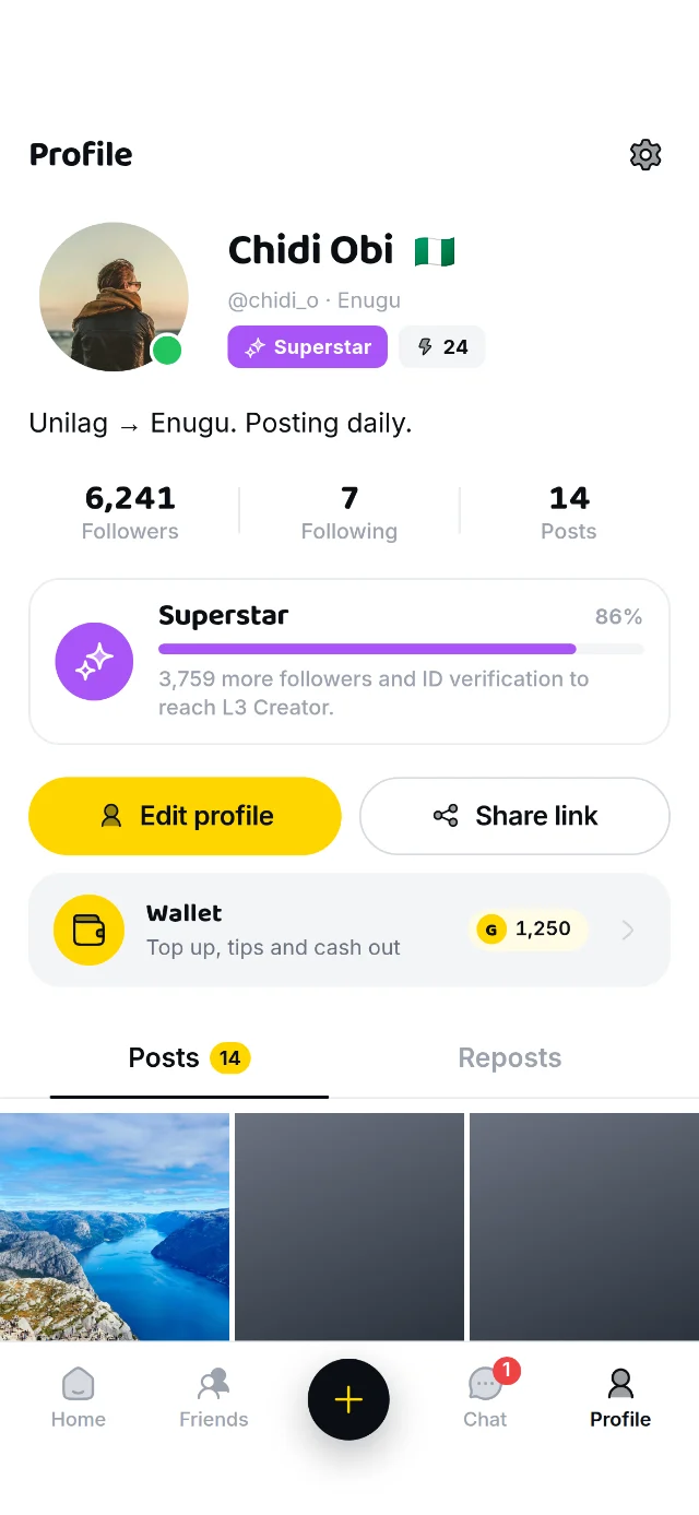 A profile: followers, rank progress towards the next level, and a grid of posts.